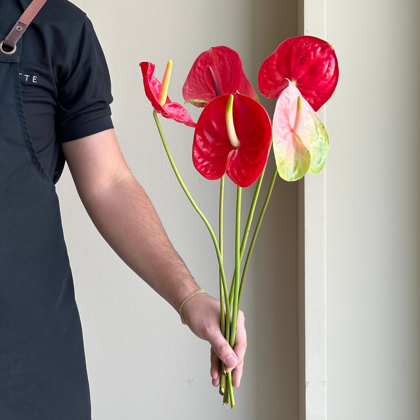 Anthuriums - Scarlet Mix