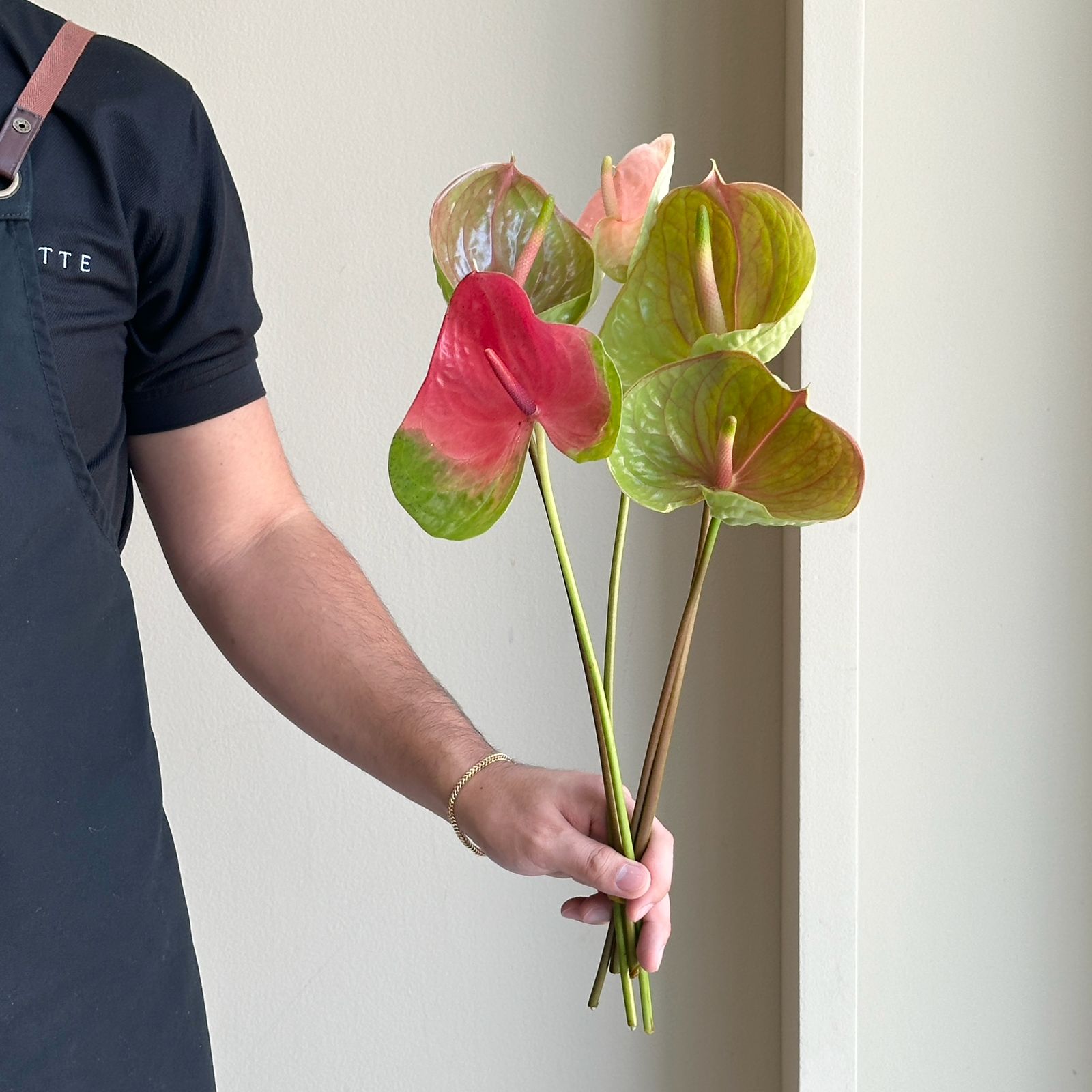 Anthuriums - Blushing Mix