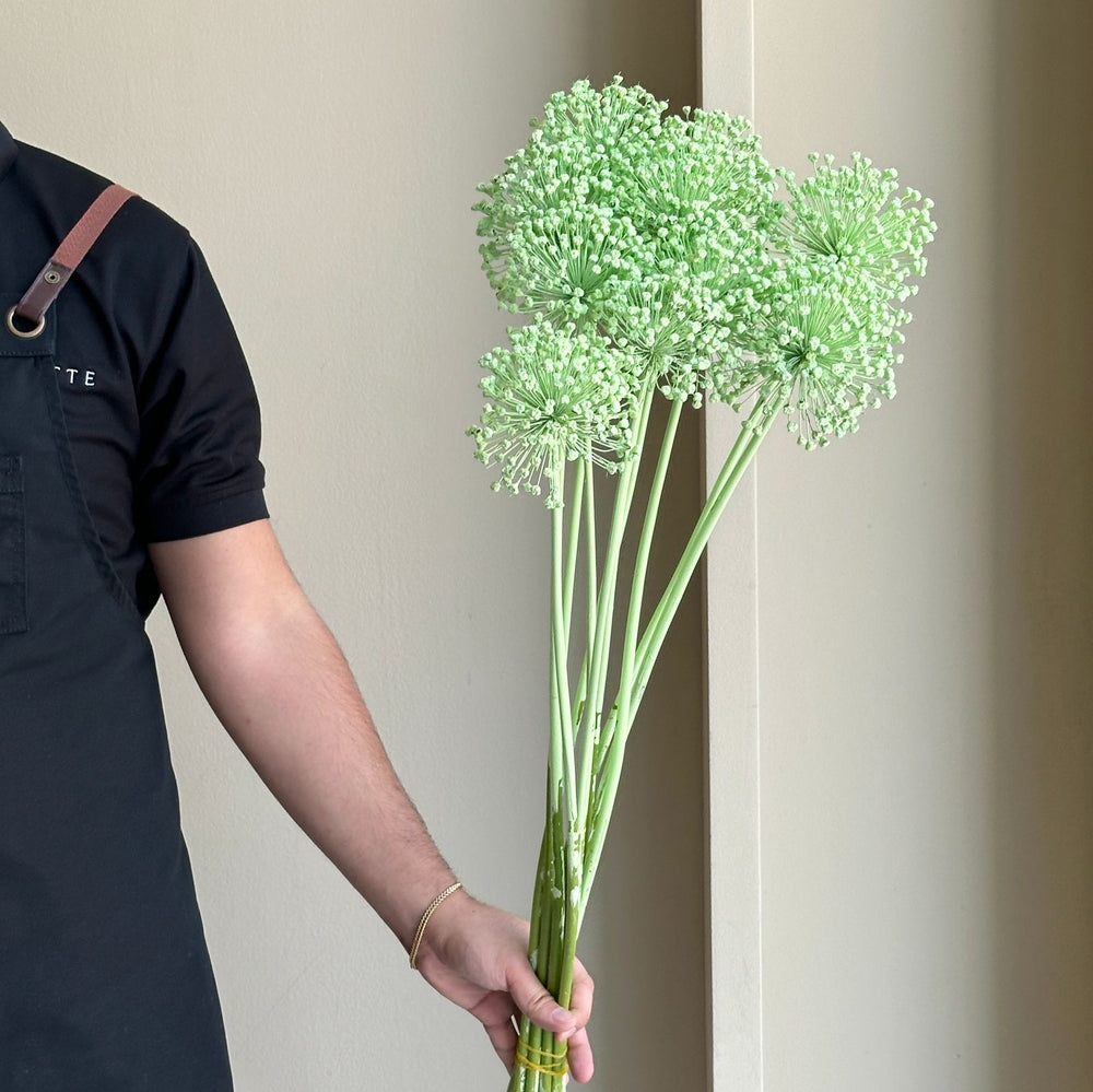 Allium - Lime Green (Painted)
