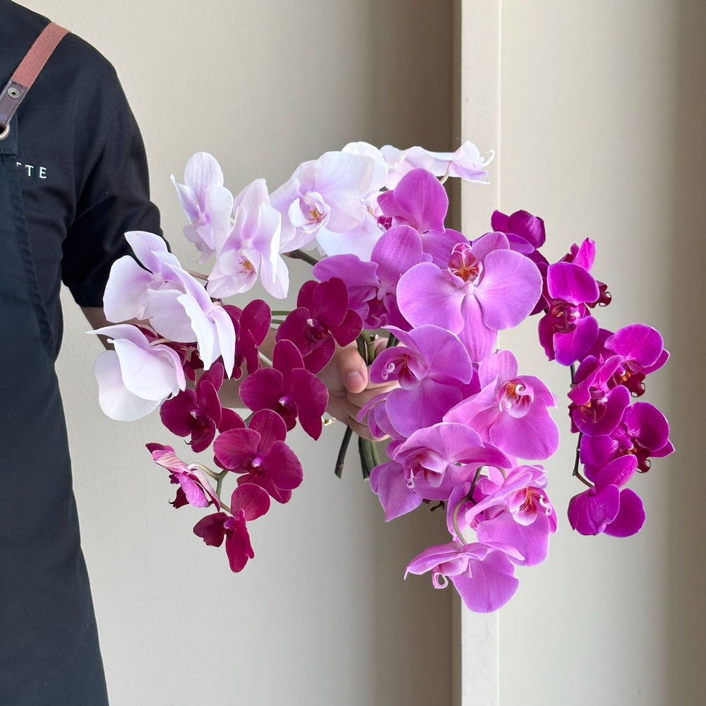 Phalaenopsis Orchid Mini - Symphony Mix (4 stem)