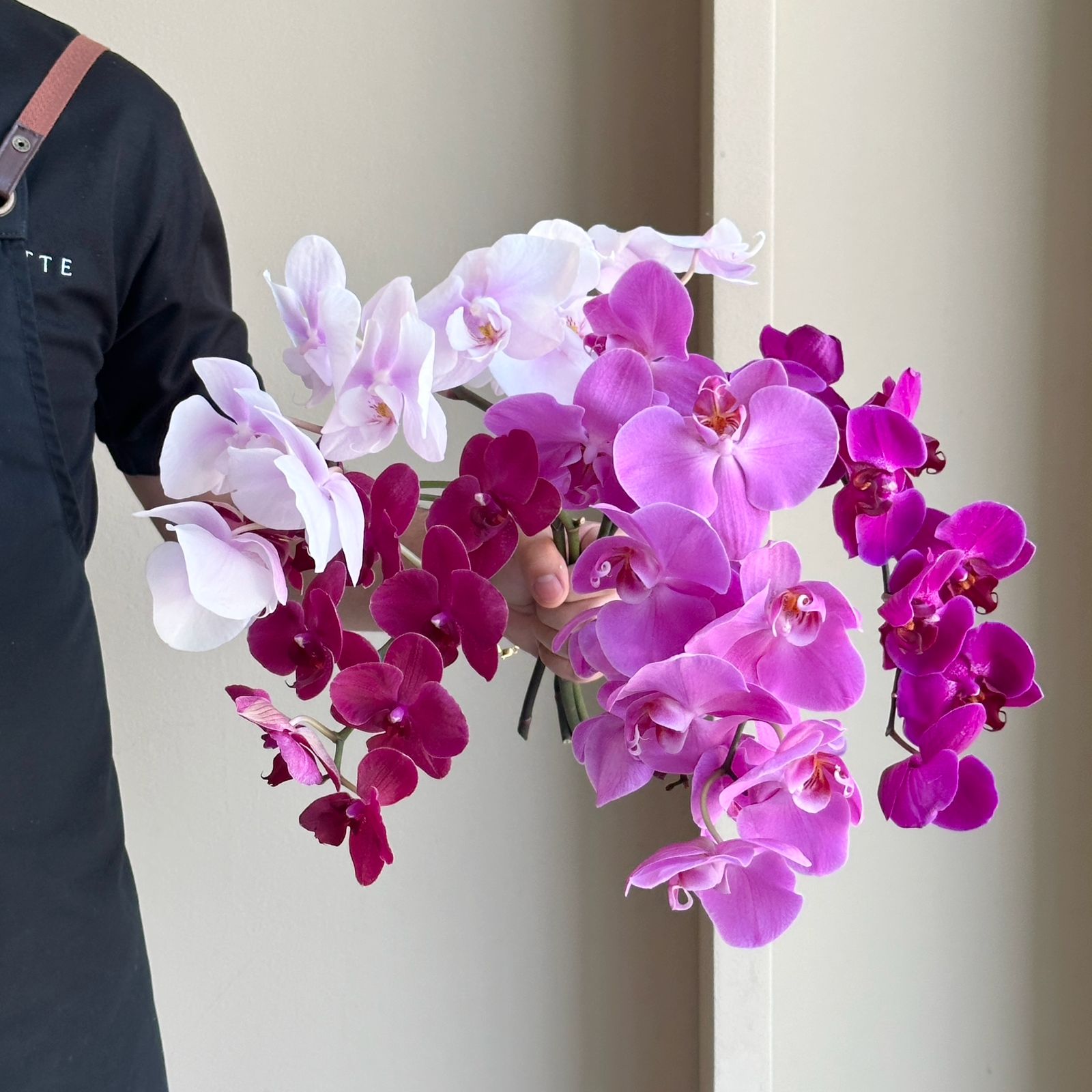Phalaenopsis Orchid Mini - Symphony Mix (4 stem)