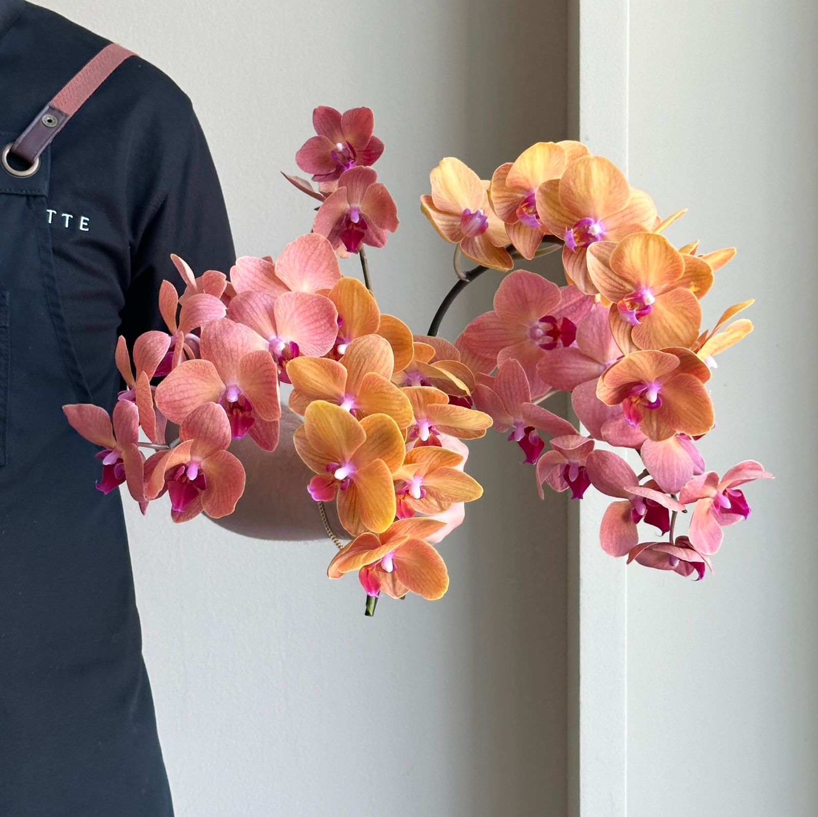 Phalaenopsis Orchid Mini - Sunset Rustic Mix (4 stem)