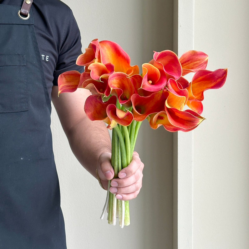 Calla Lilies - Captain Brunello