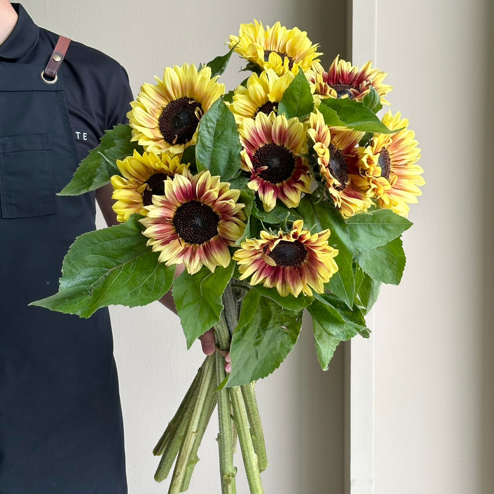 Sunflowers - Bob Marley