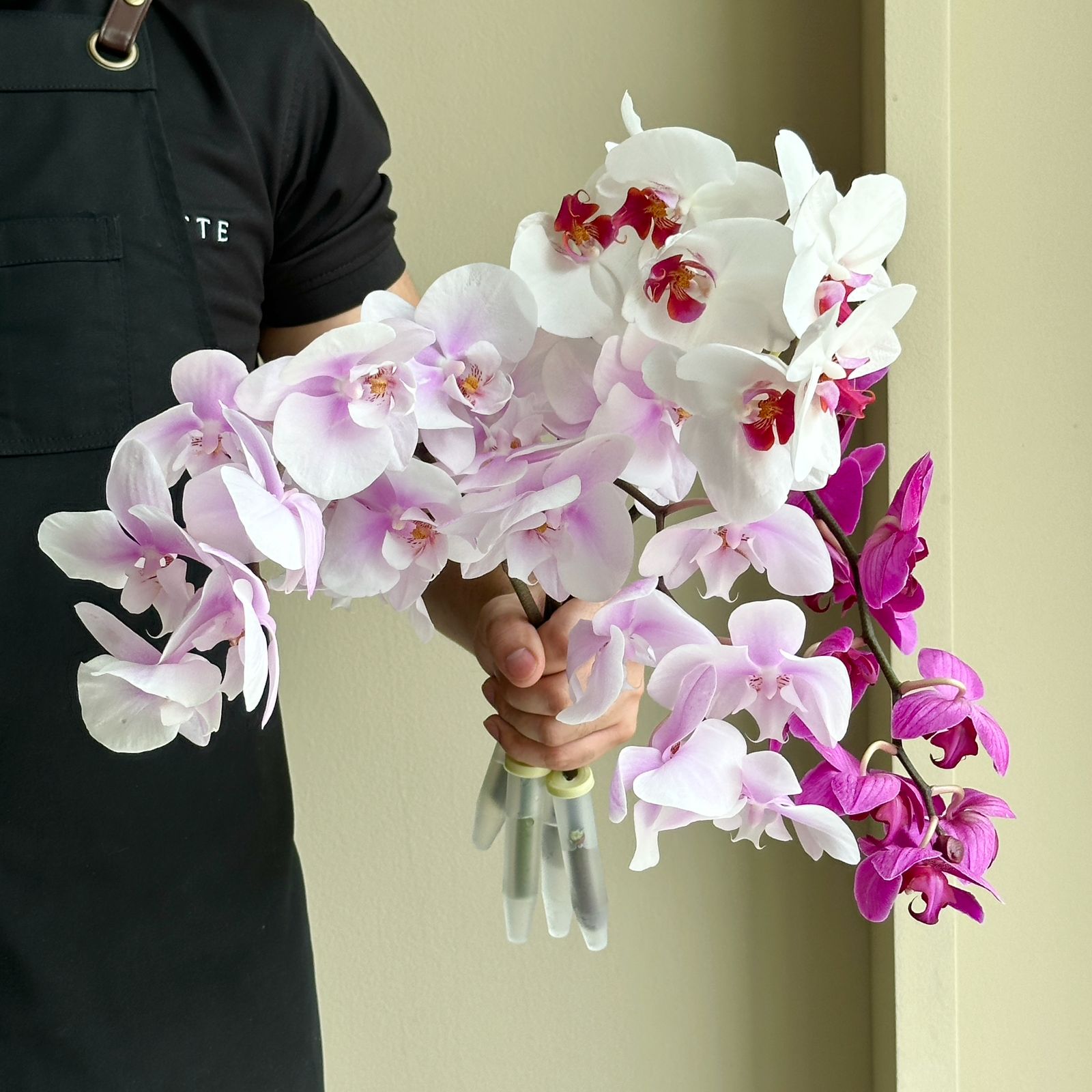 Phalaenopsis Orchid - Pastel Elegance Mix (4 Stems)