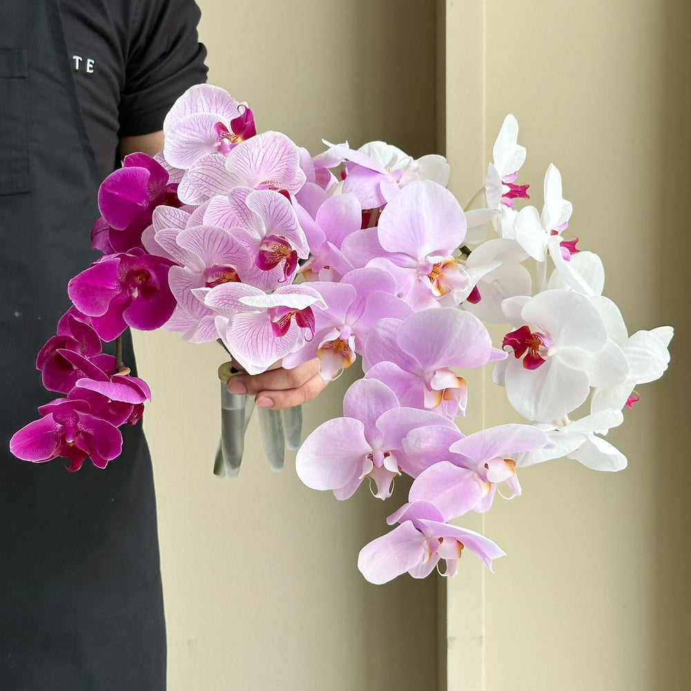 Phalaenopsis Orchid - Blush Harmony Mix (4 Stems)