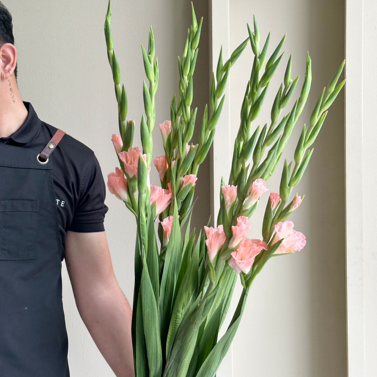 Gladioli - Karma Light Pink