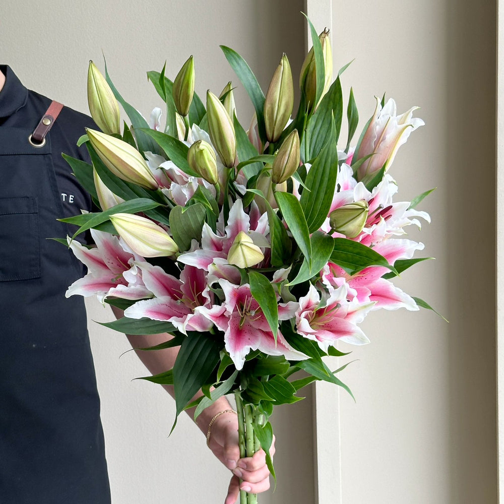 Lilies Oriental - Ponzone (Beautiful Blooms)