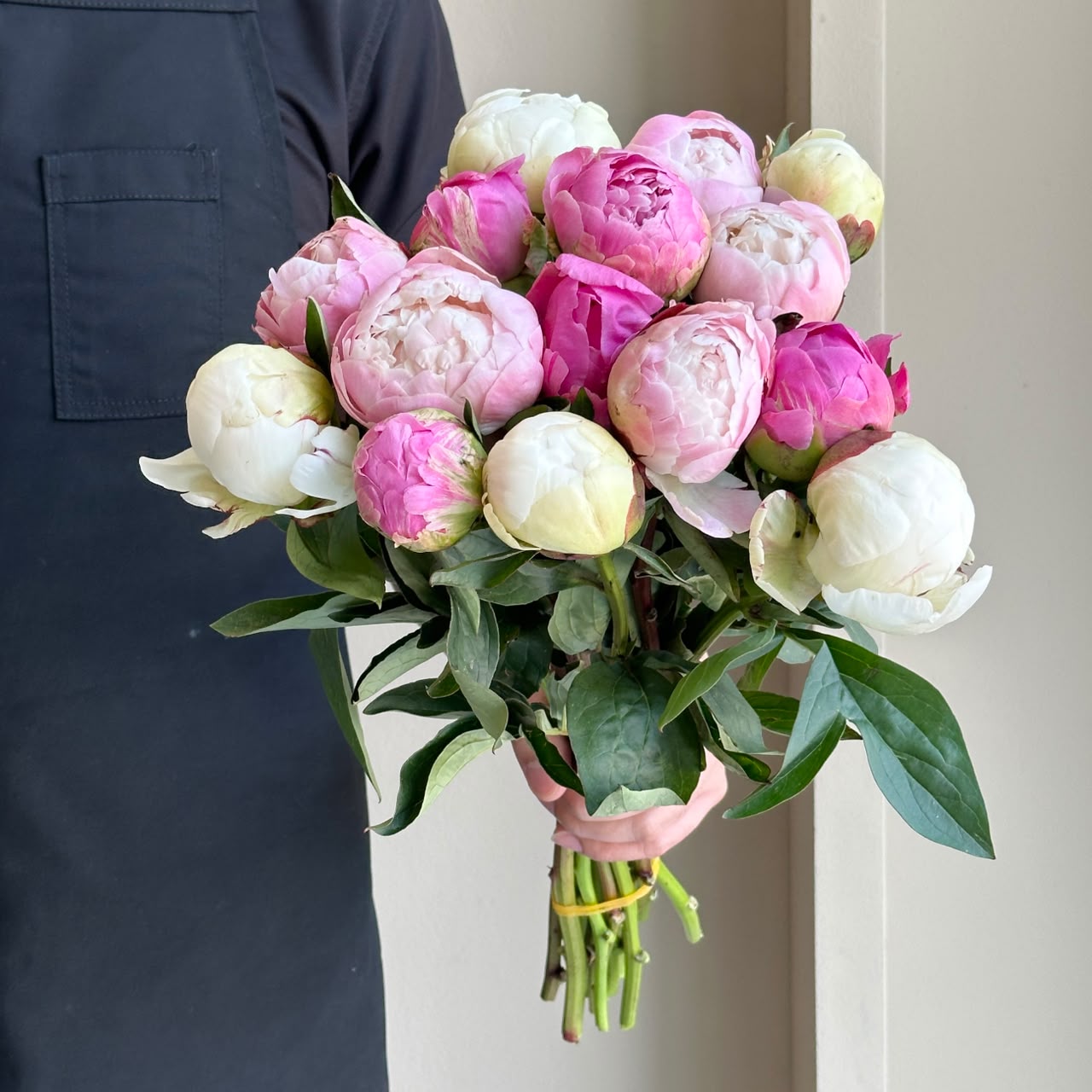 Peonies - Blush Reverie Mix (15 Stems)