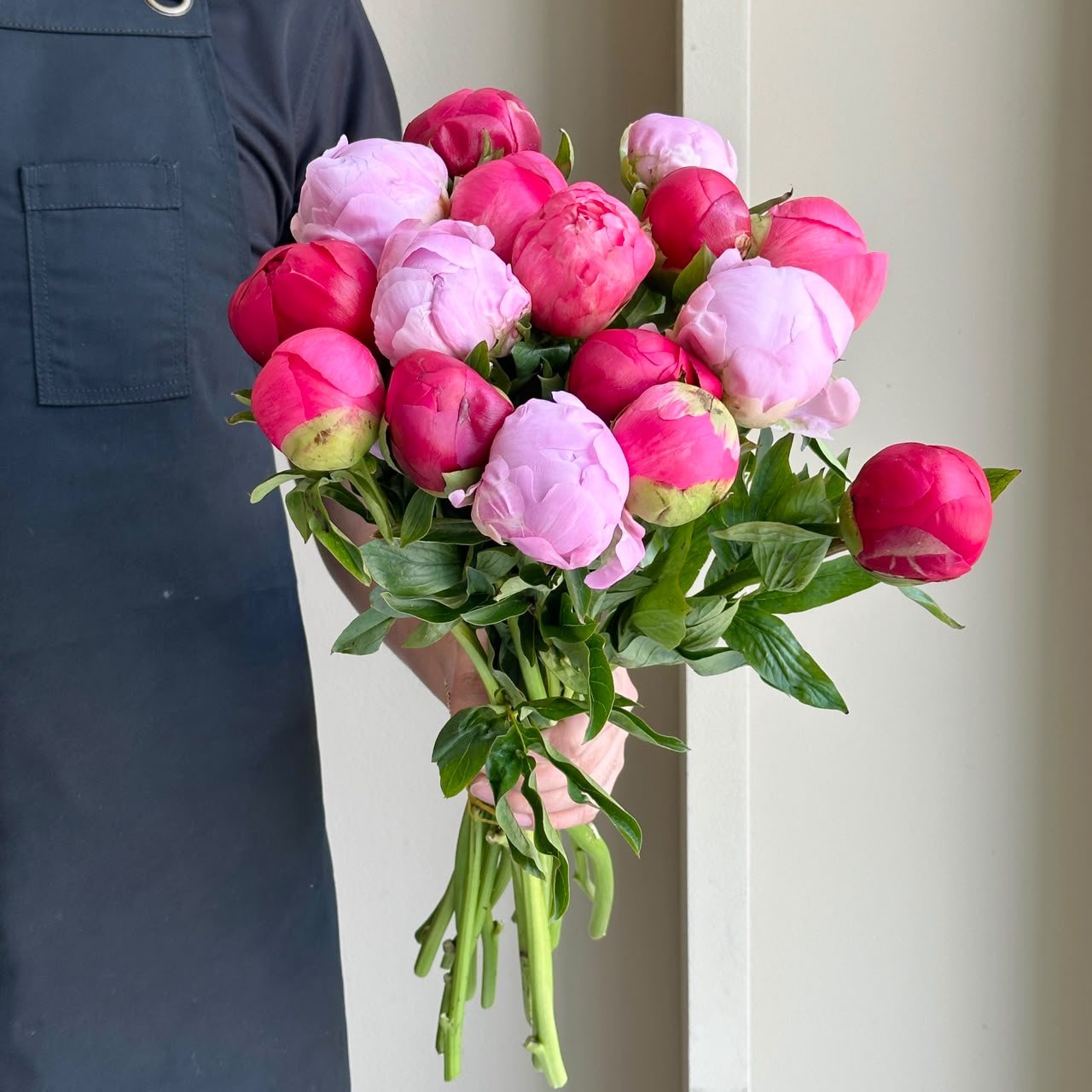 Peonies - Pink Champagne Mix (15 Stems)
