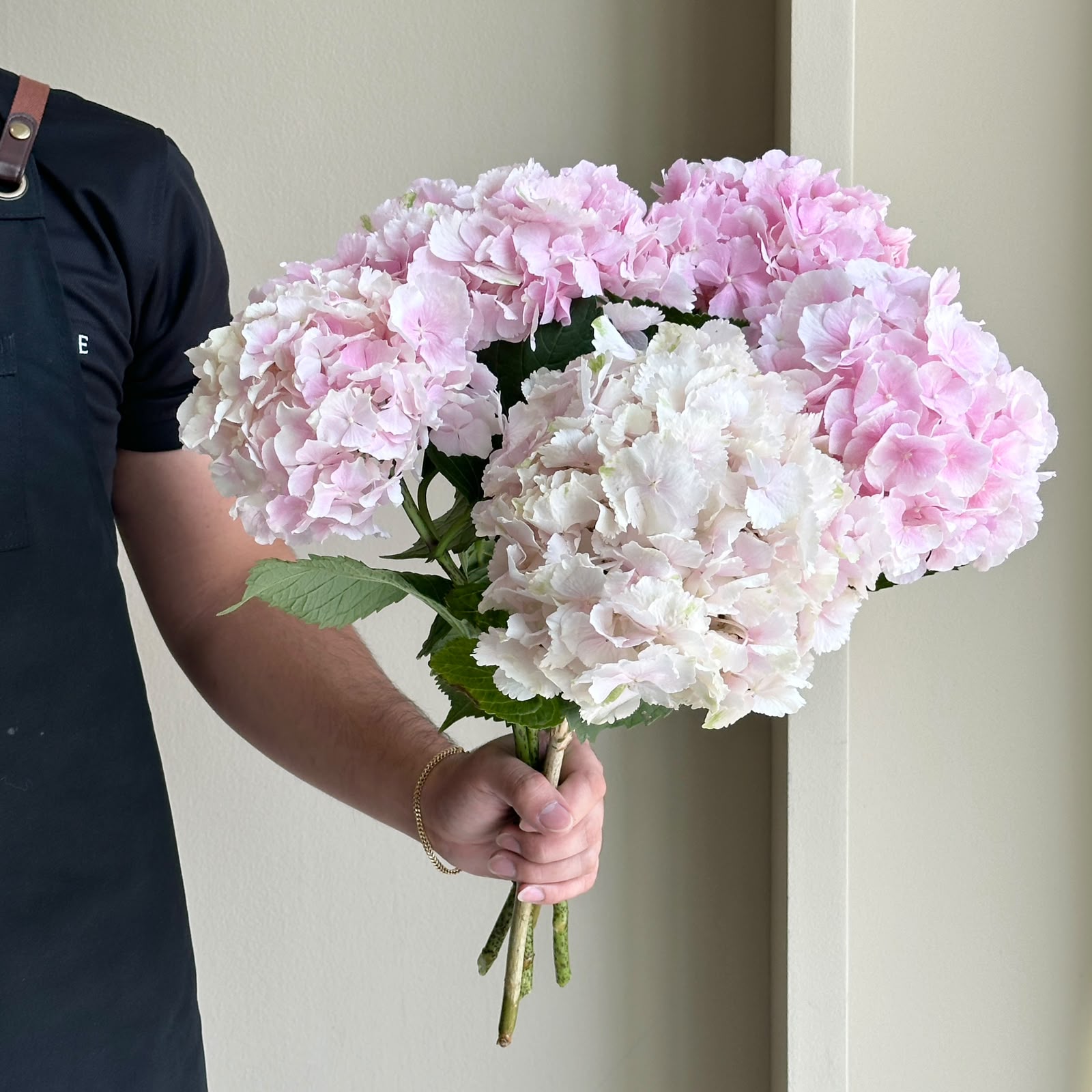 Hydrangea - Champagne Verena Pink
