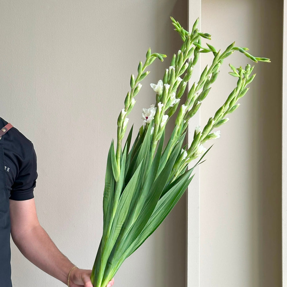 Gladioli - Cera Corsage White