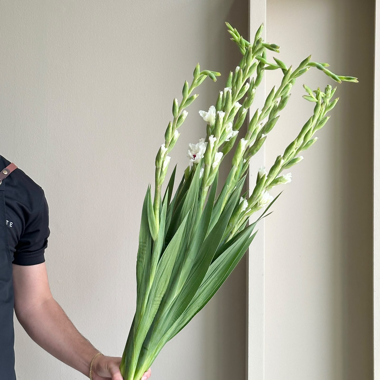 Gladioli - Cera Corsage White