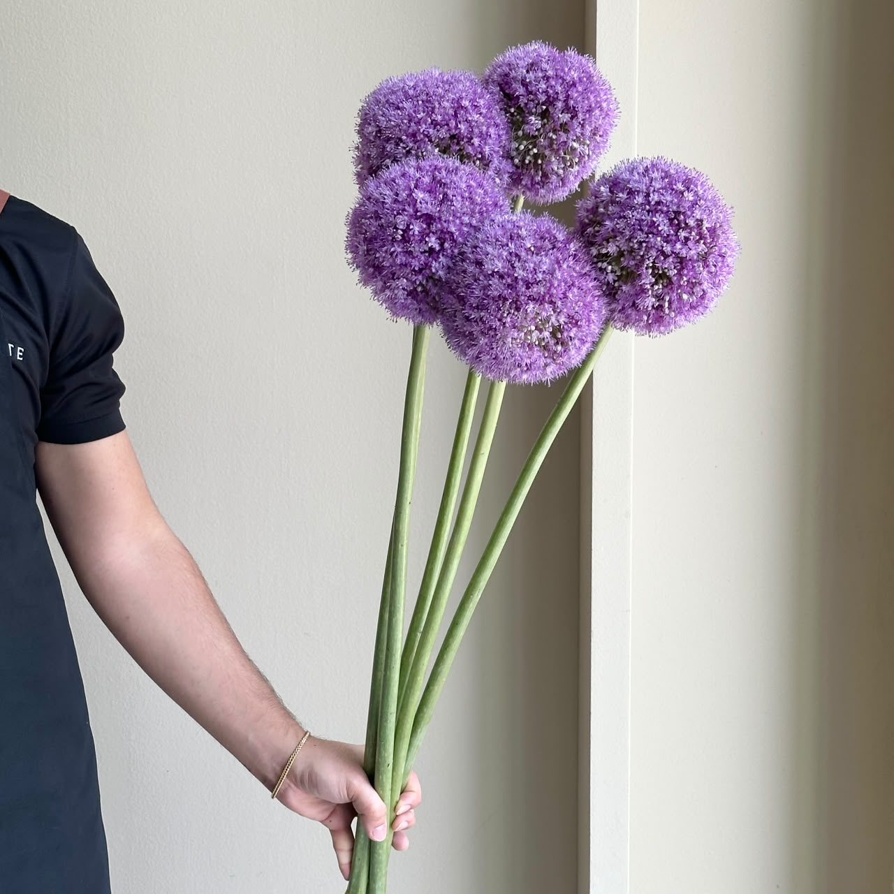 Alliums - Giganteum Purple Xl