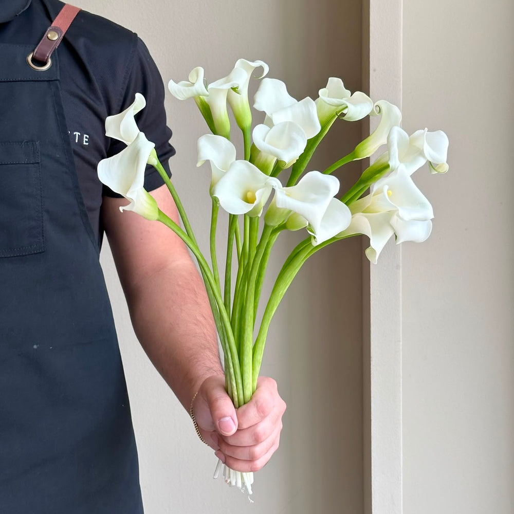 Calla Lilies - Ov White Mini (Short Stem)