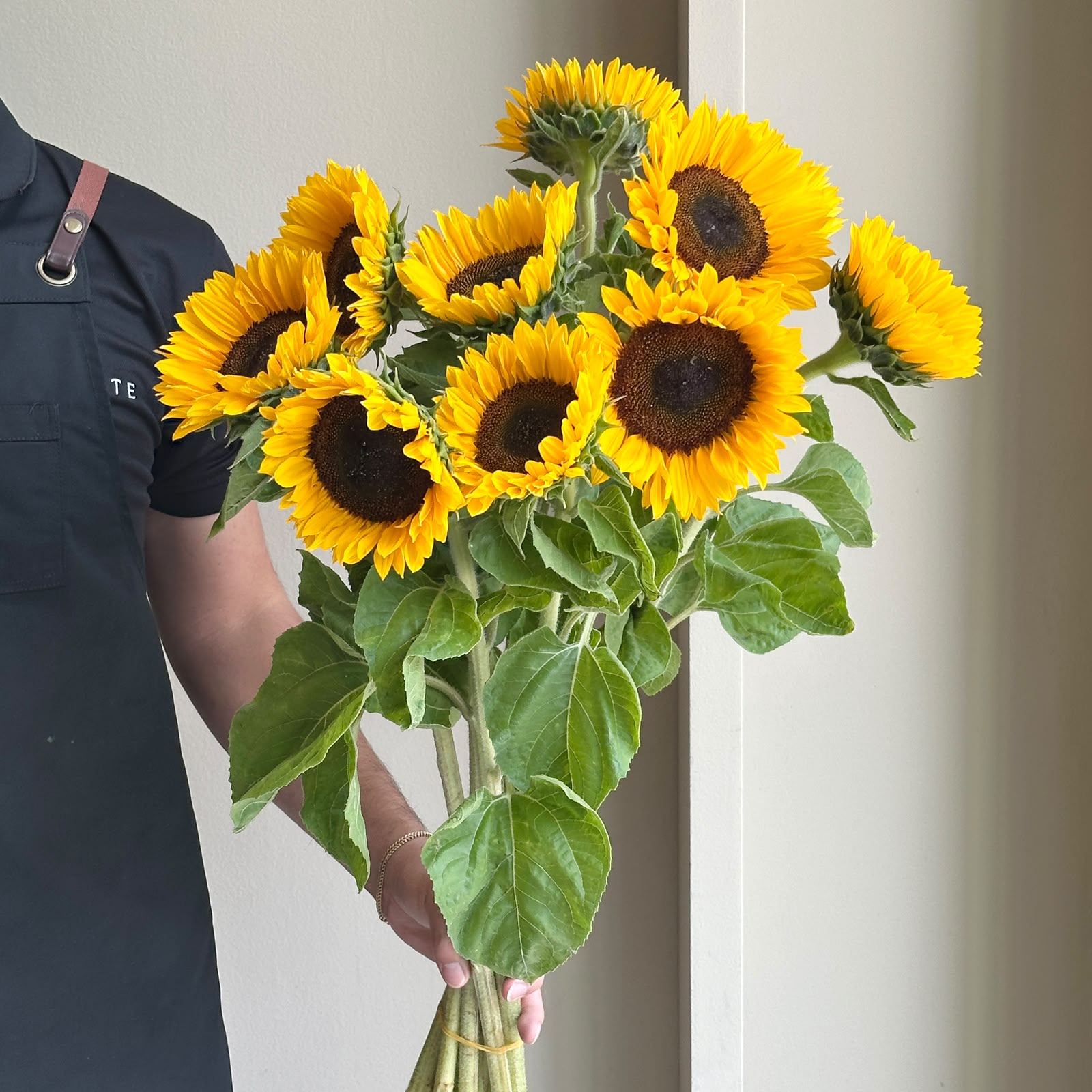 Sunflowers - Sunrich Orange