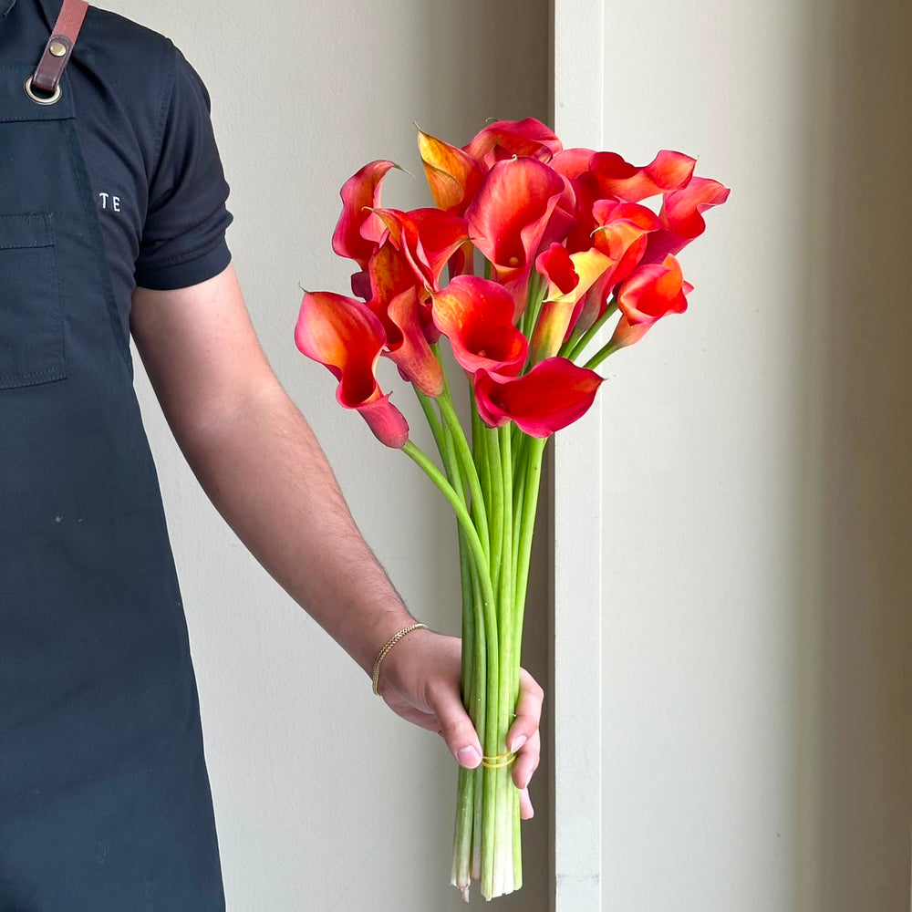 Calla Lilies - Captain Odeon Orange