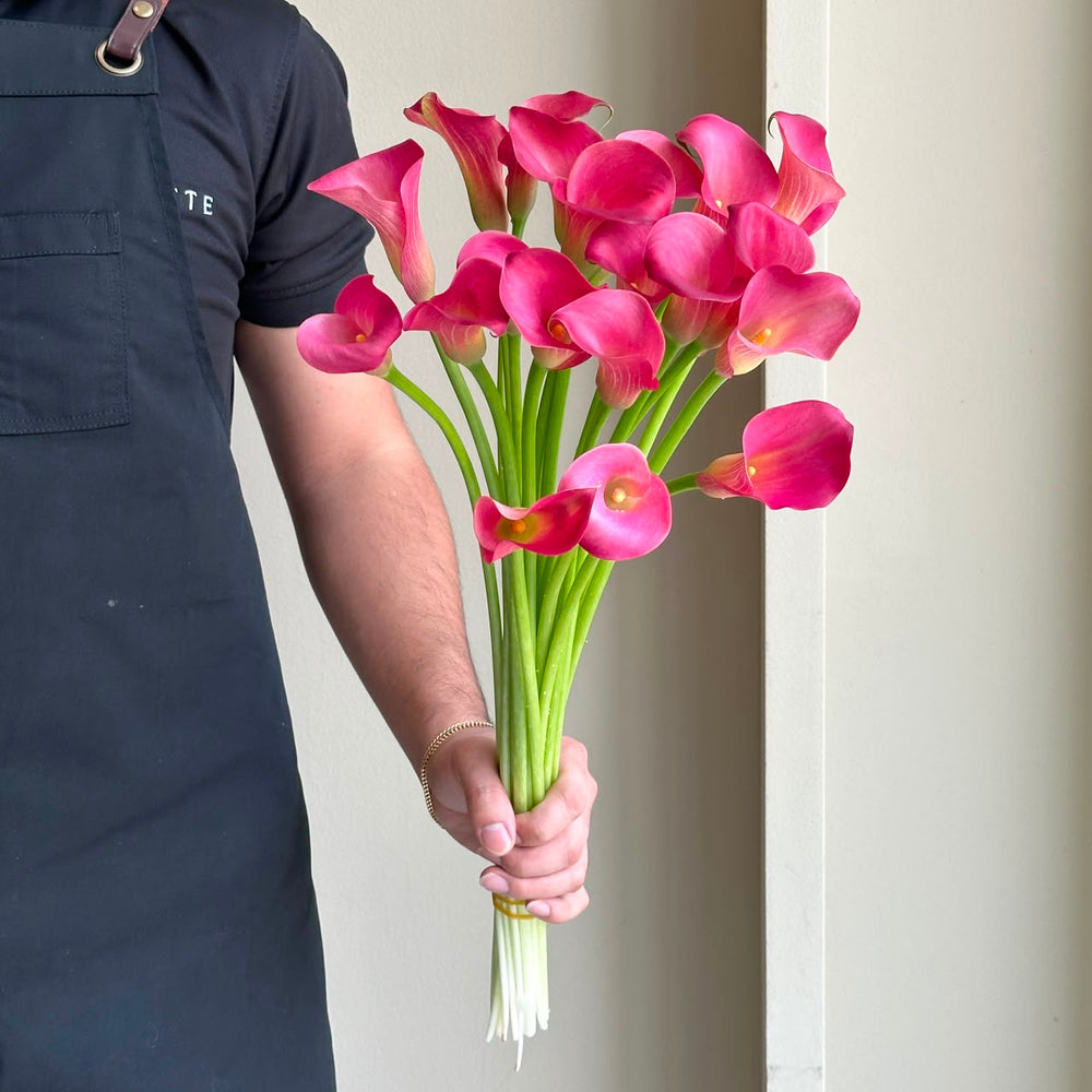 Calla Lilies - Coral Red