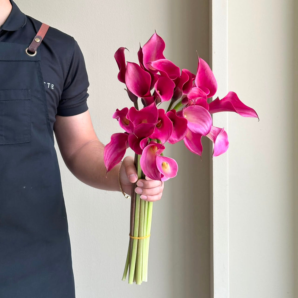 Calla Lilies - Sumatra