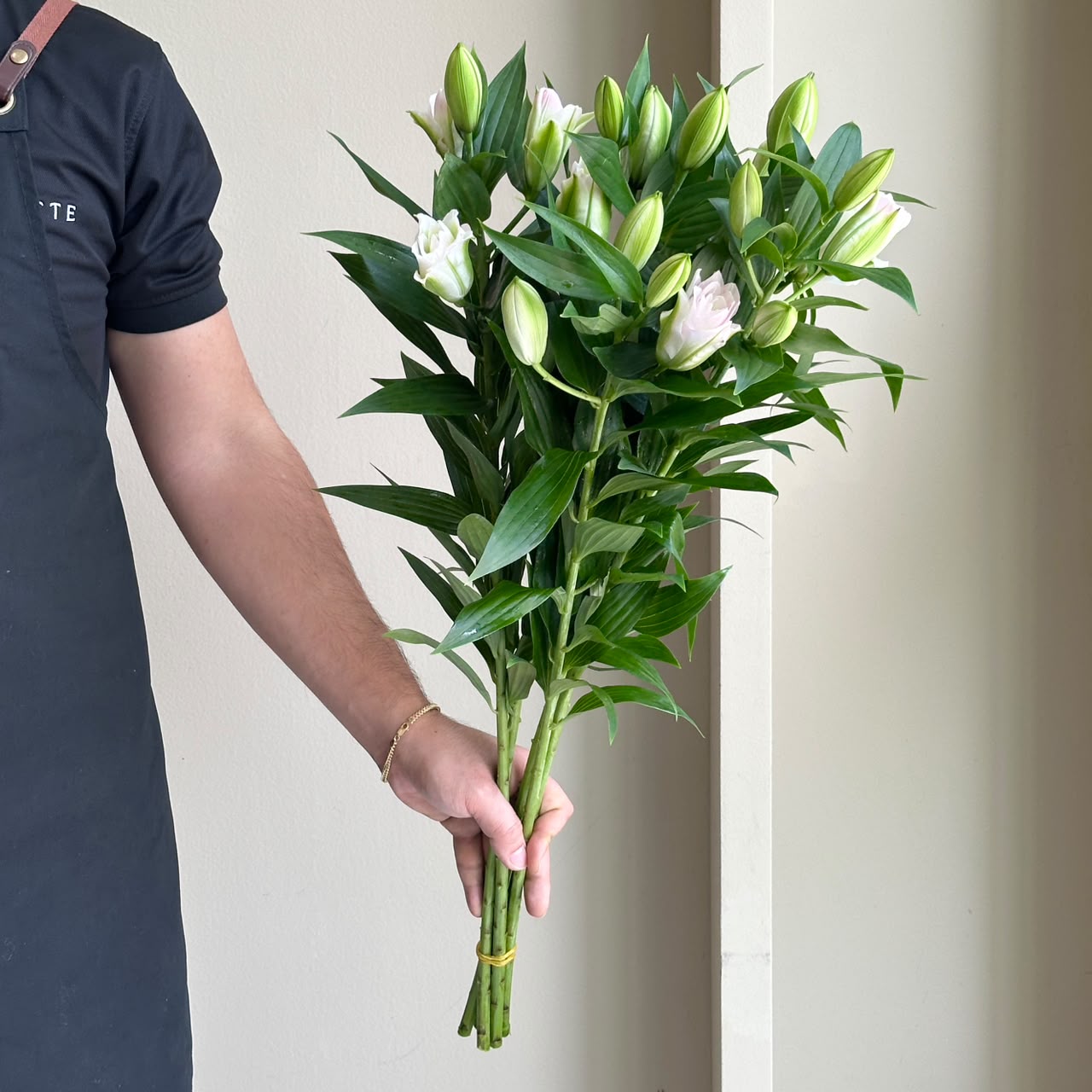 Lilies Oriental Double - Lucky Angel Mini