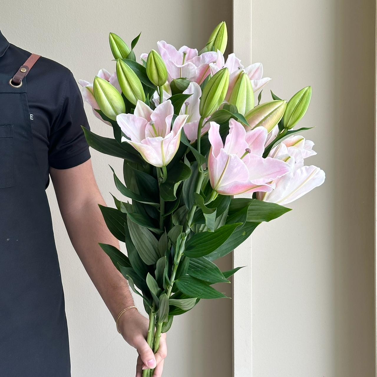 Lilies Oriental - Boudoir Pink (Beautiful Blooms)