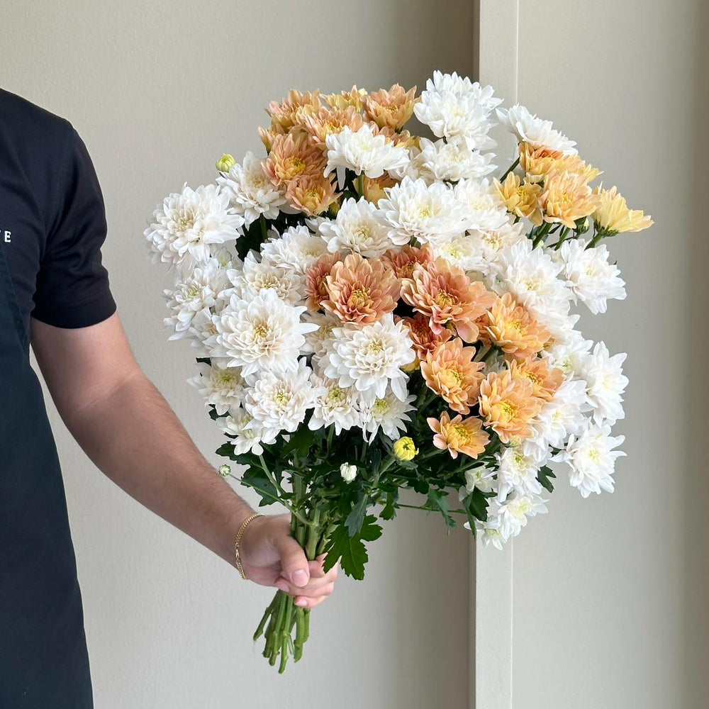 Chrysanthemum - Spray Peaches Cream Mix
