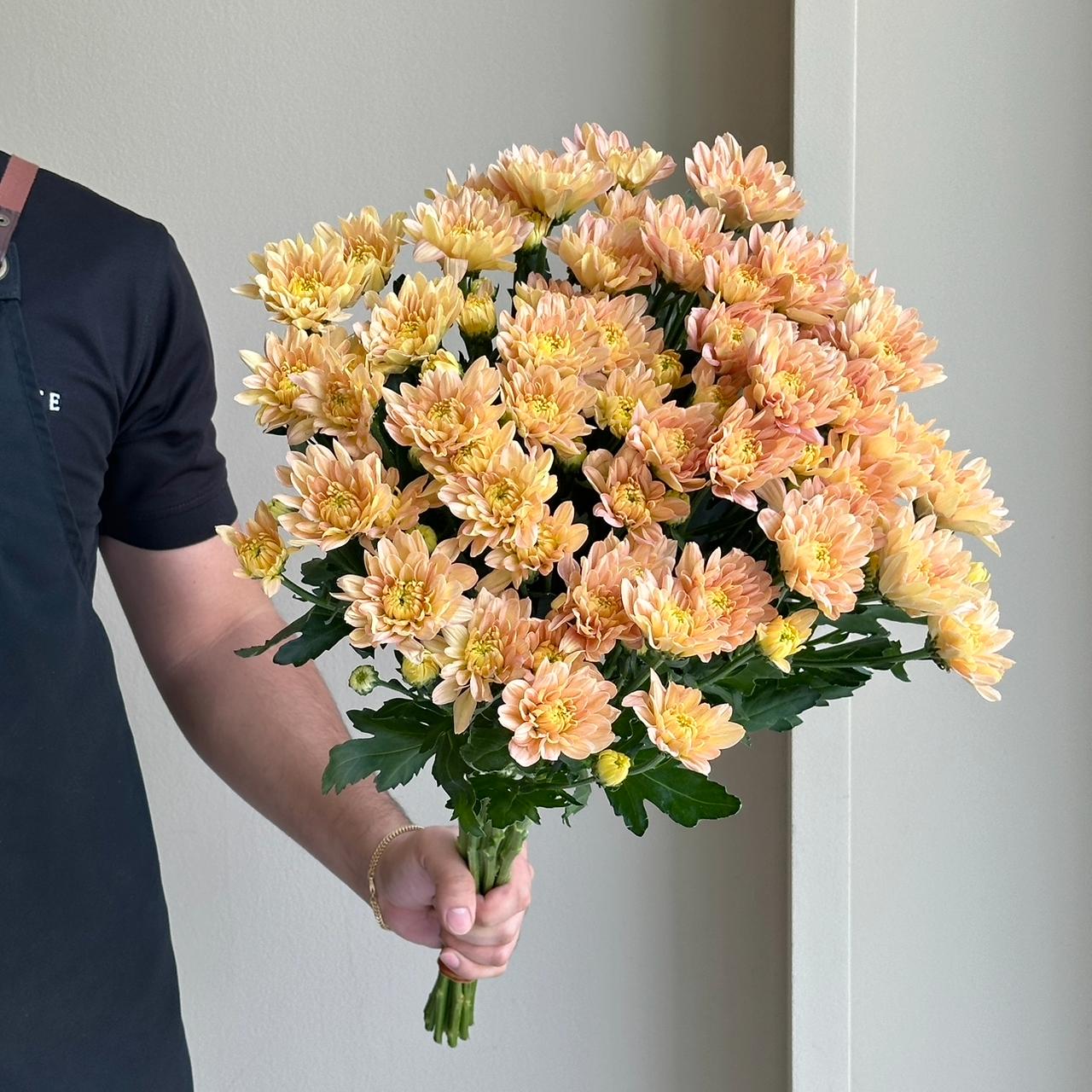 Chrysanthemums - Baltica Salmon