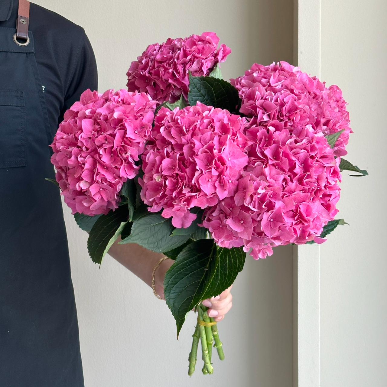 Hydrangeas - Rodeo Pink