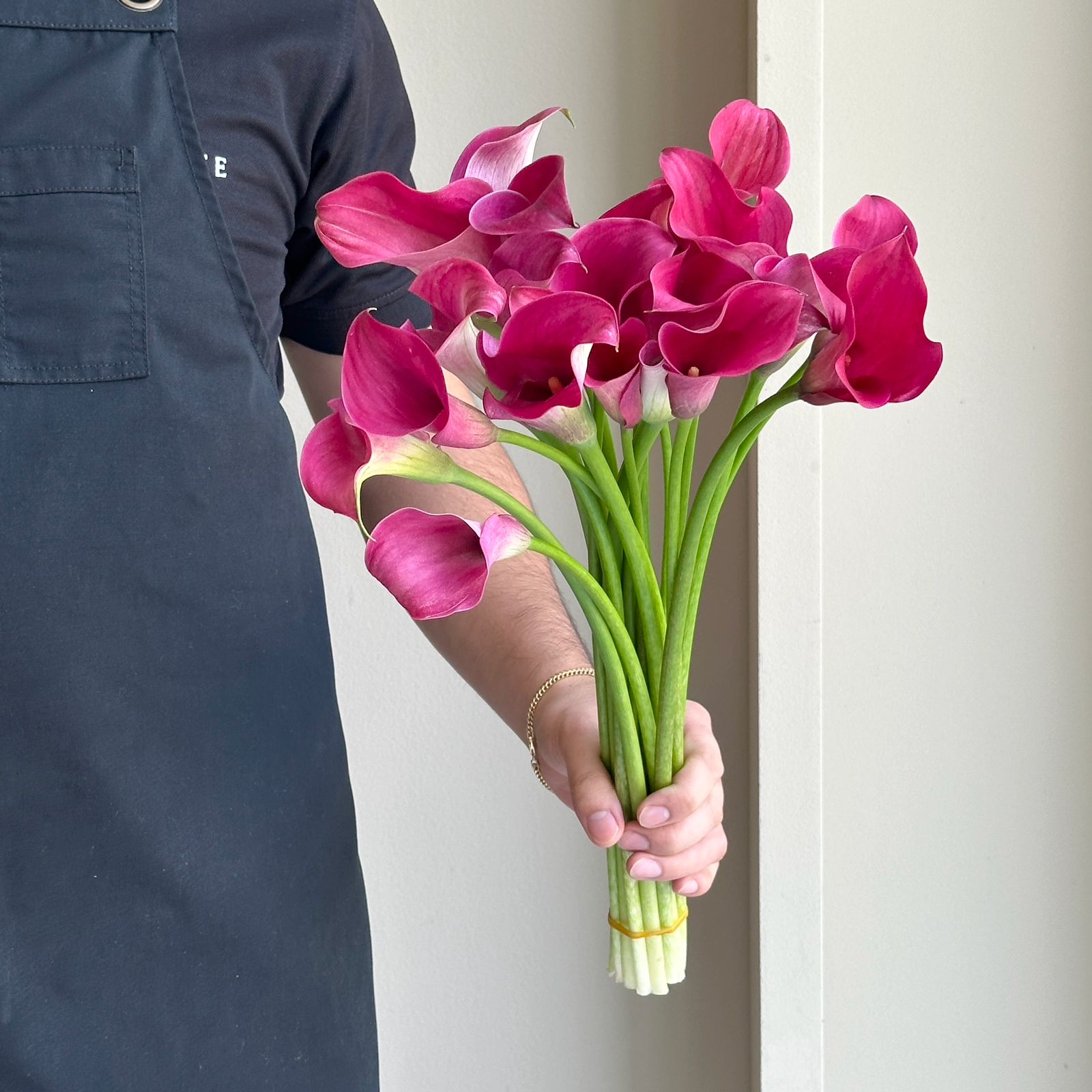 Calla Lilies - Pink Jewel
