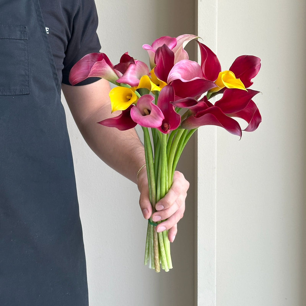 Calla Lilies - Golden Velvet Mix (Mini)