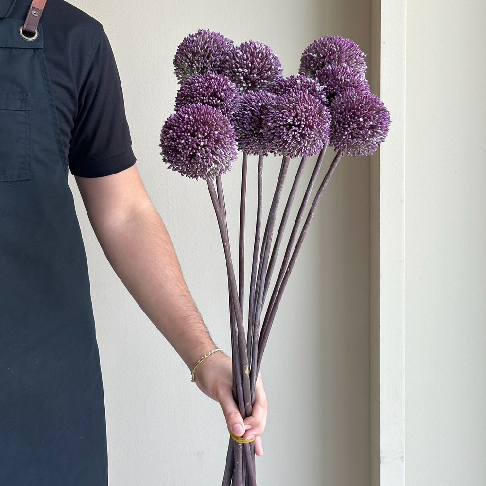 Alliums - Summer Drummer (10 Stem)