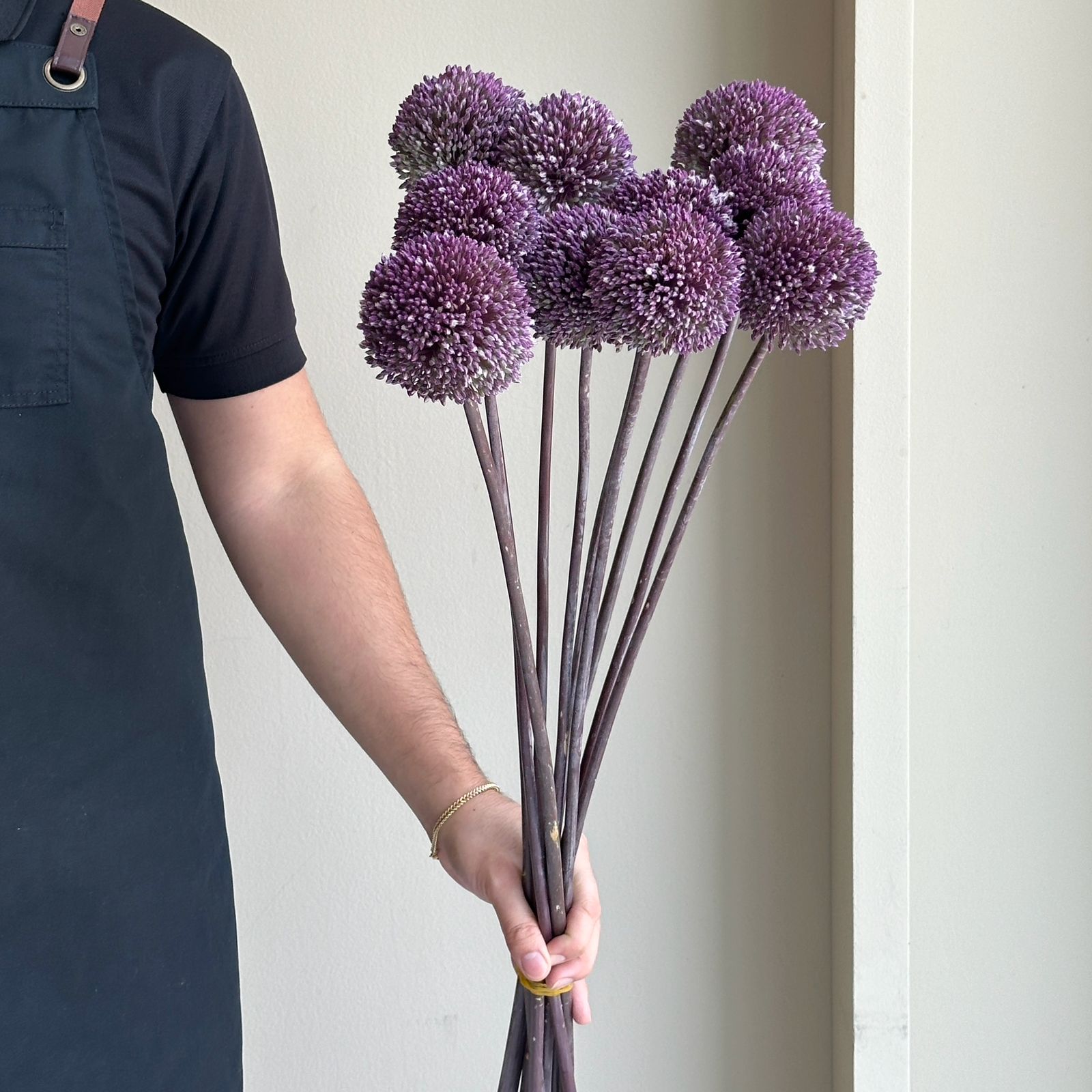 Alliums - Summer Drummer (10 Stem)