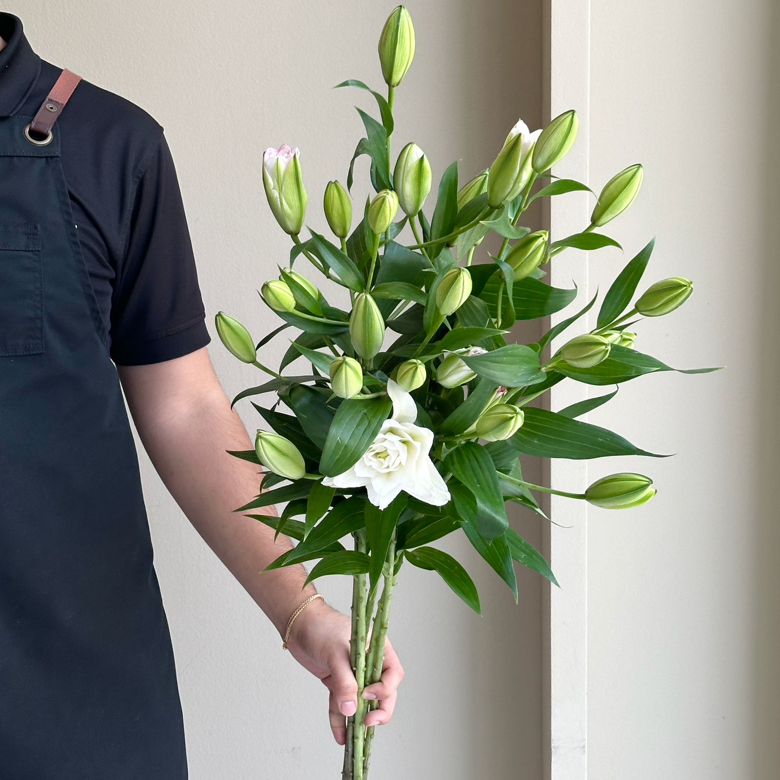 Lilies Oriental Double - Roselily Anouska Light Pink
