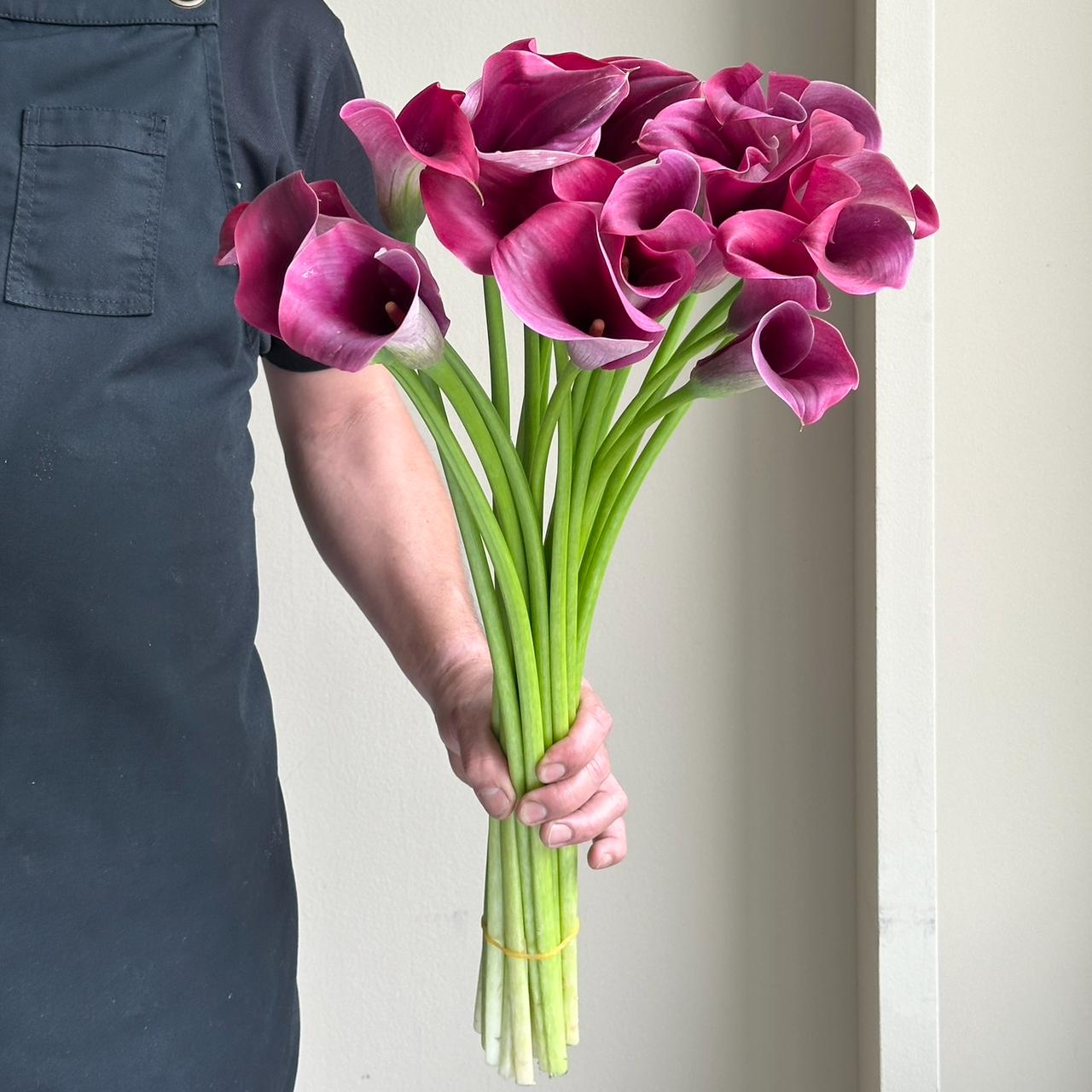 Calla Lilies - Captain Promise