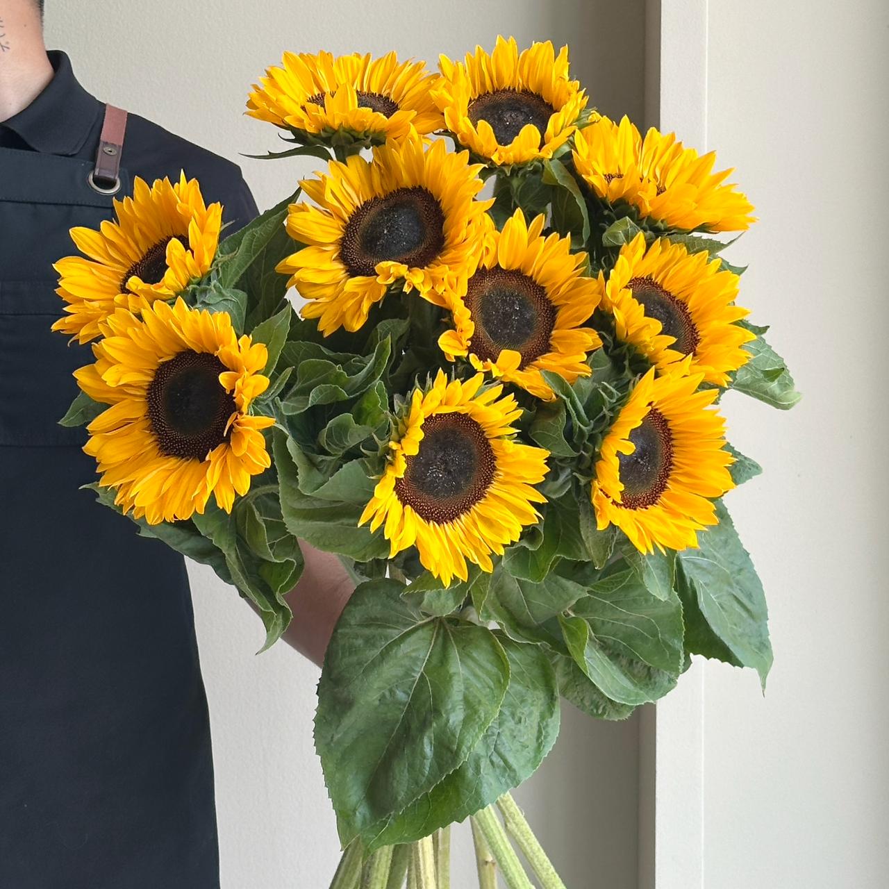 Sunflowers - Sunrich Orange