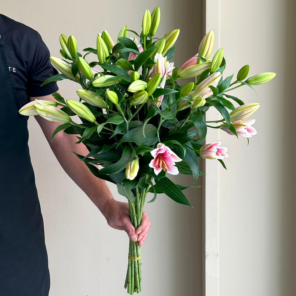 Lilies Oriental - Sorbonne Pink (10 Stem)