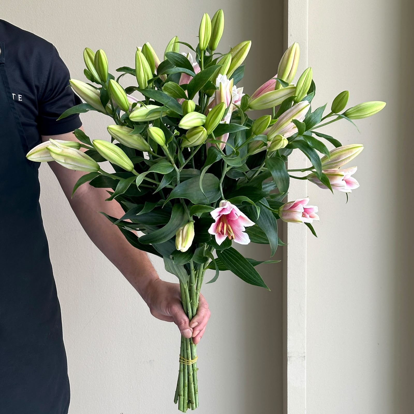 Lilies Oriental - Sorbonne Pink (10 Stem)