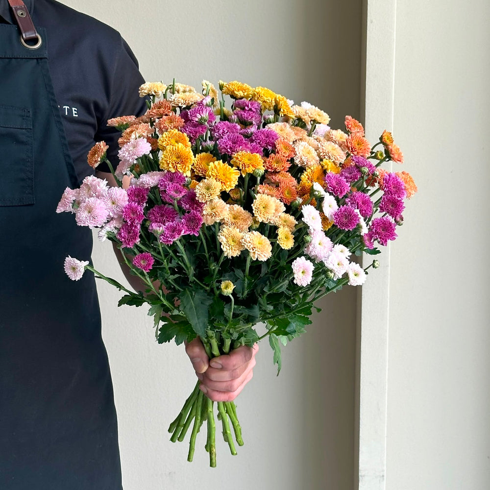 Chrysanthemum - Santini Rainbow Mix (15 Stem)