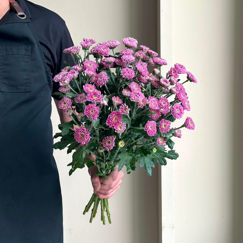 Chrysanthemum Spray - Santini Ellison Pink