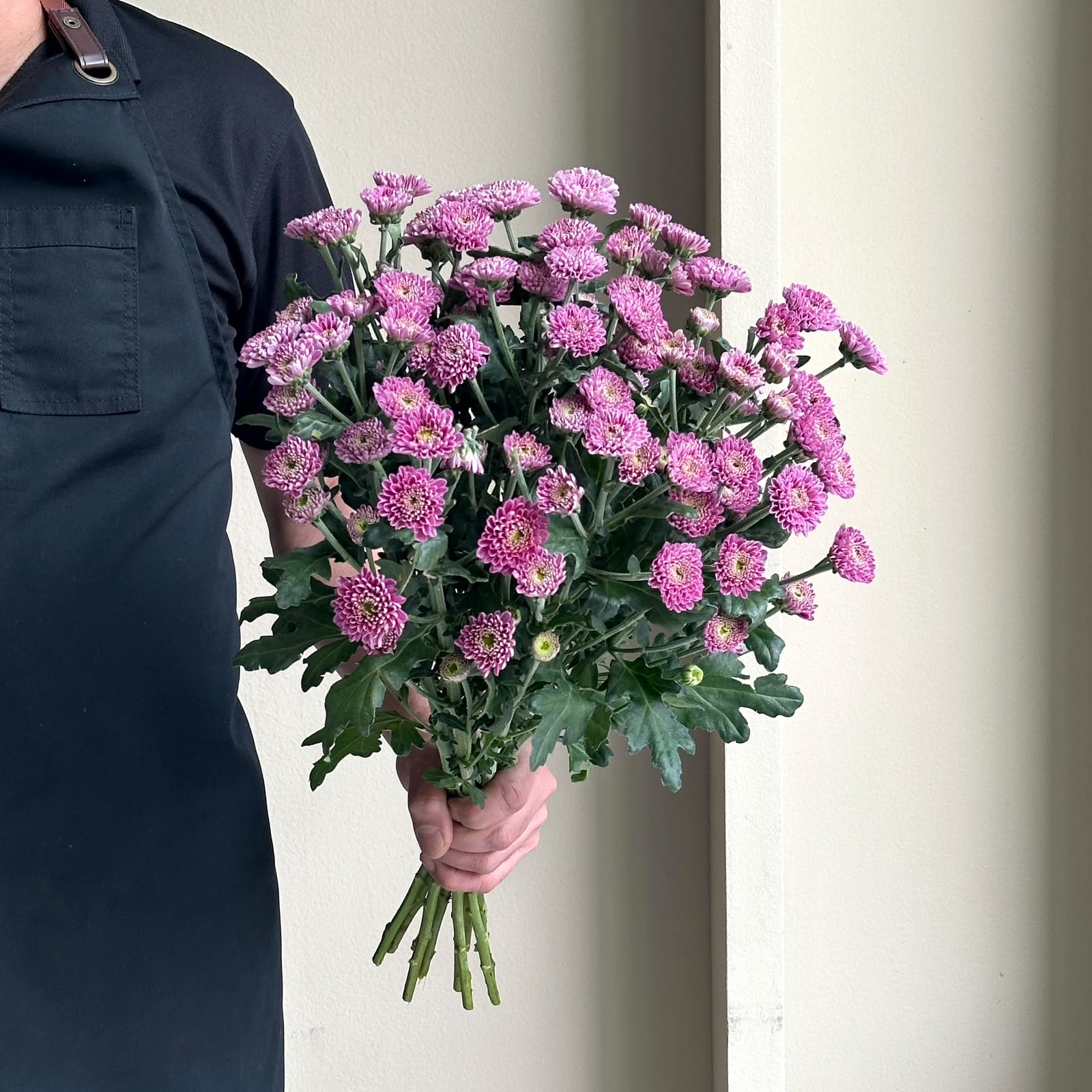 Chrysanthemum Spray - Santini Ellison Pink