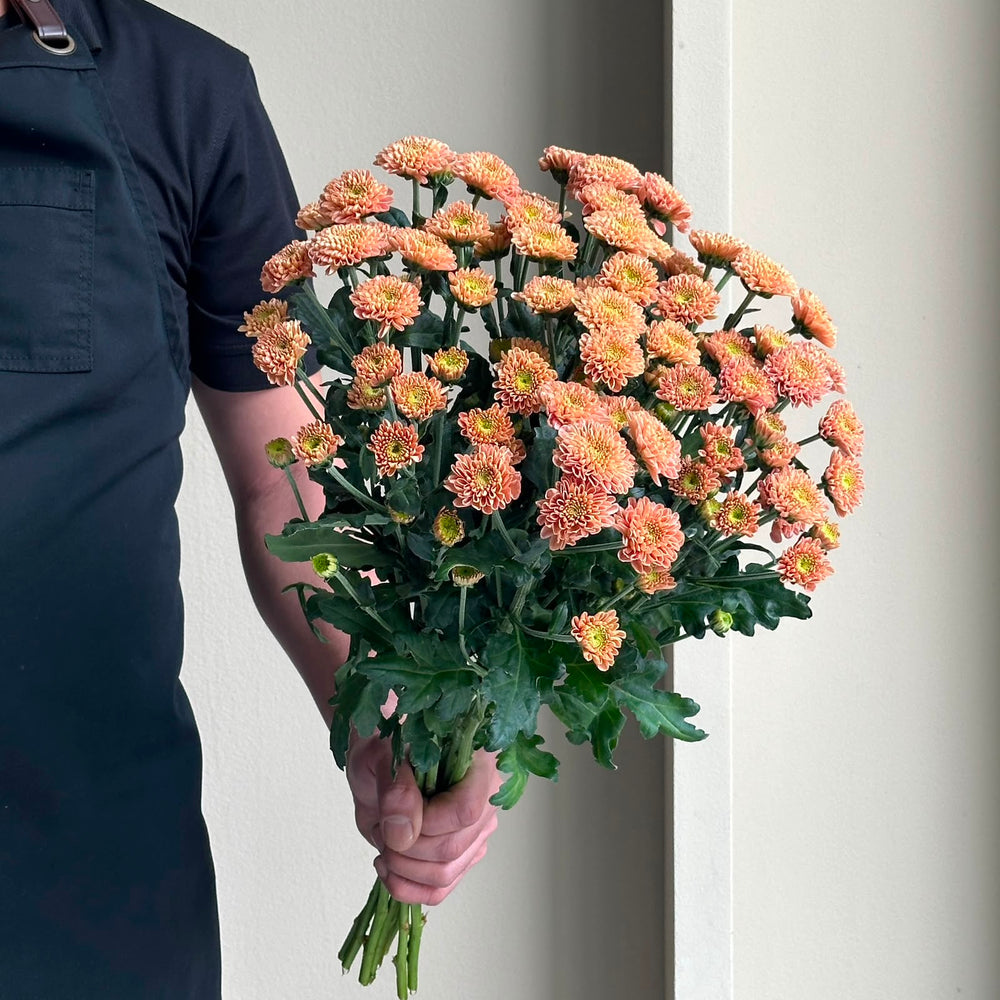 Chrysanthemum Spray - Santini Ellison Salmon