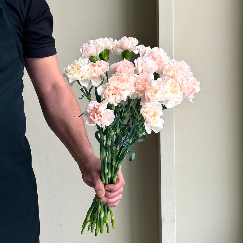 Carnations - Lizzy Peach