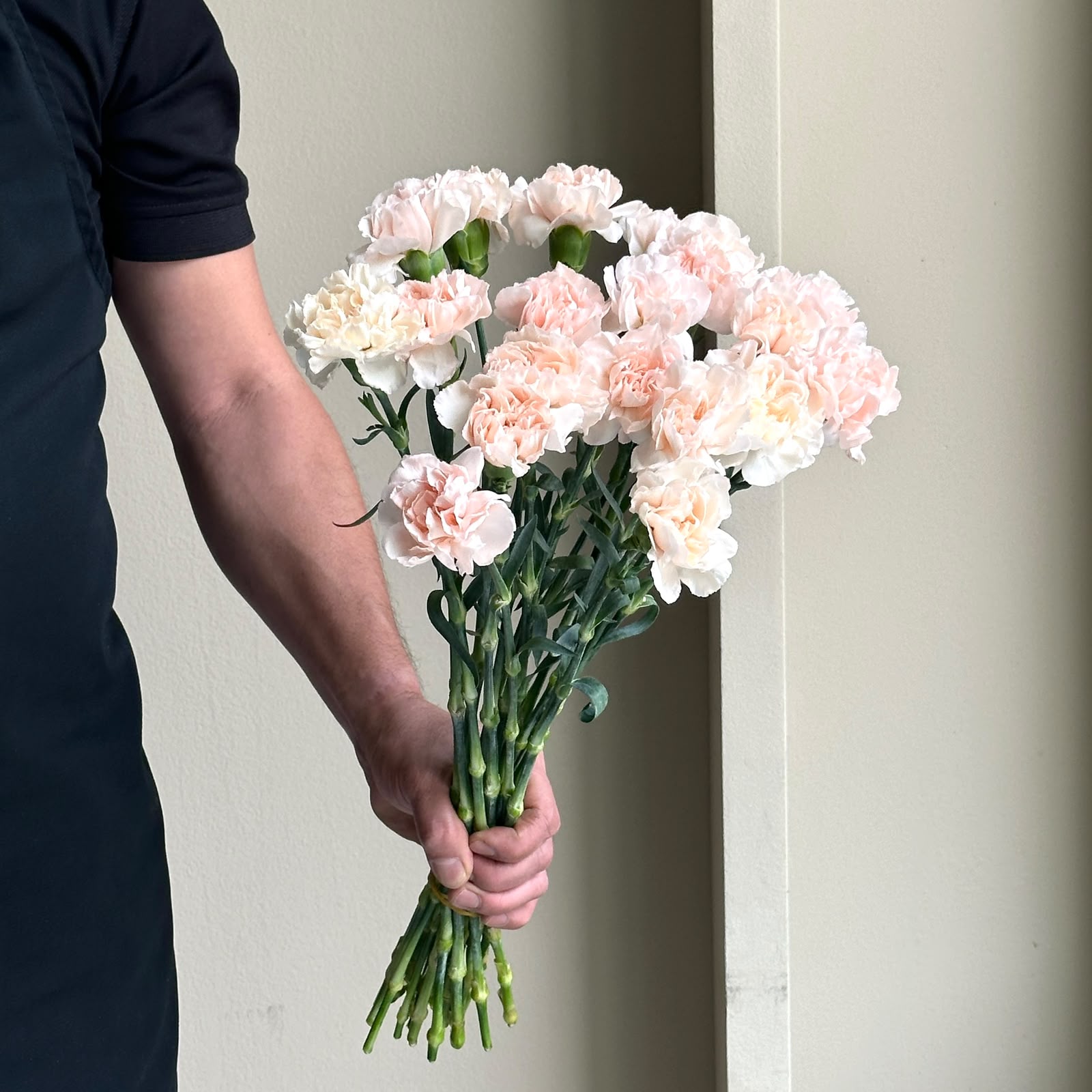 Carnations - Lizzy Peach