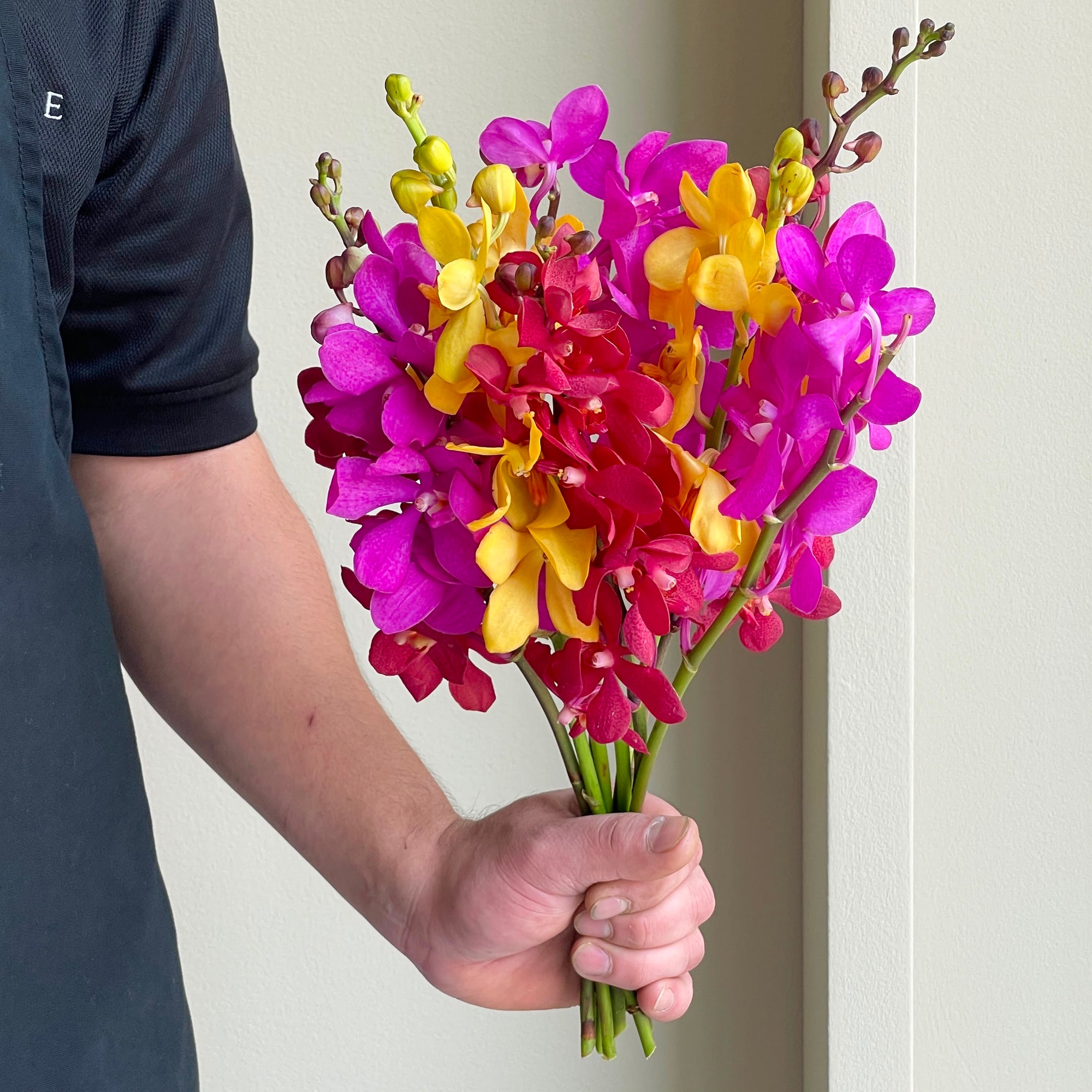Mokara Orchids - Assorted