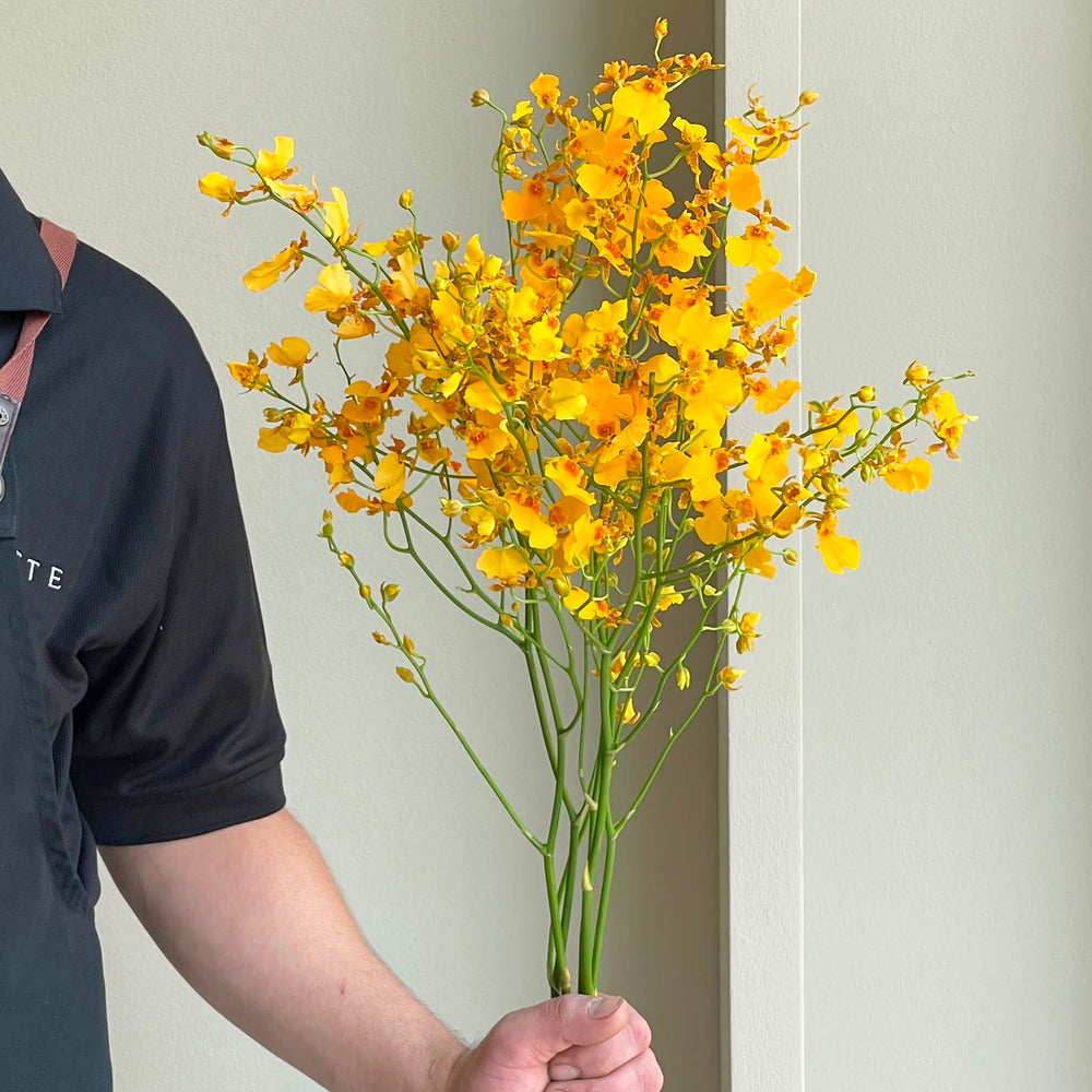 Oncidiums - Orange (5 stems)