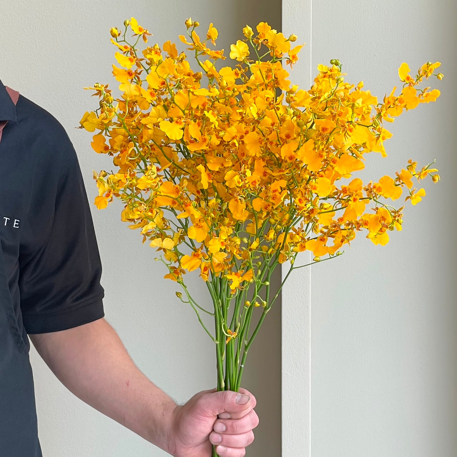 Oncidiums - Orange (10 stems)