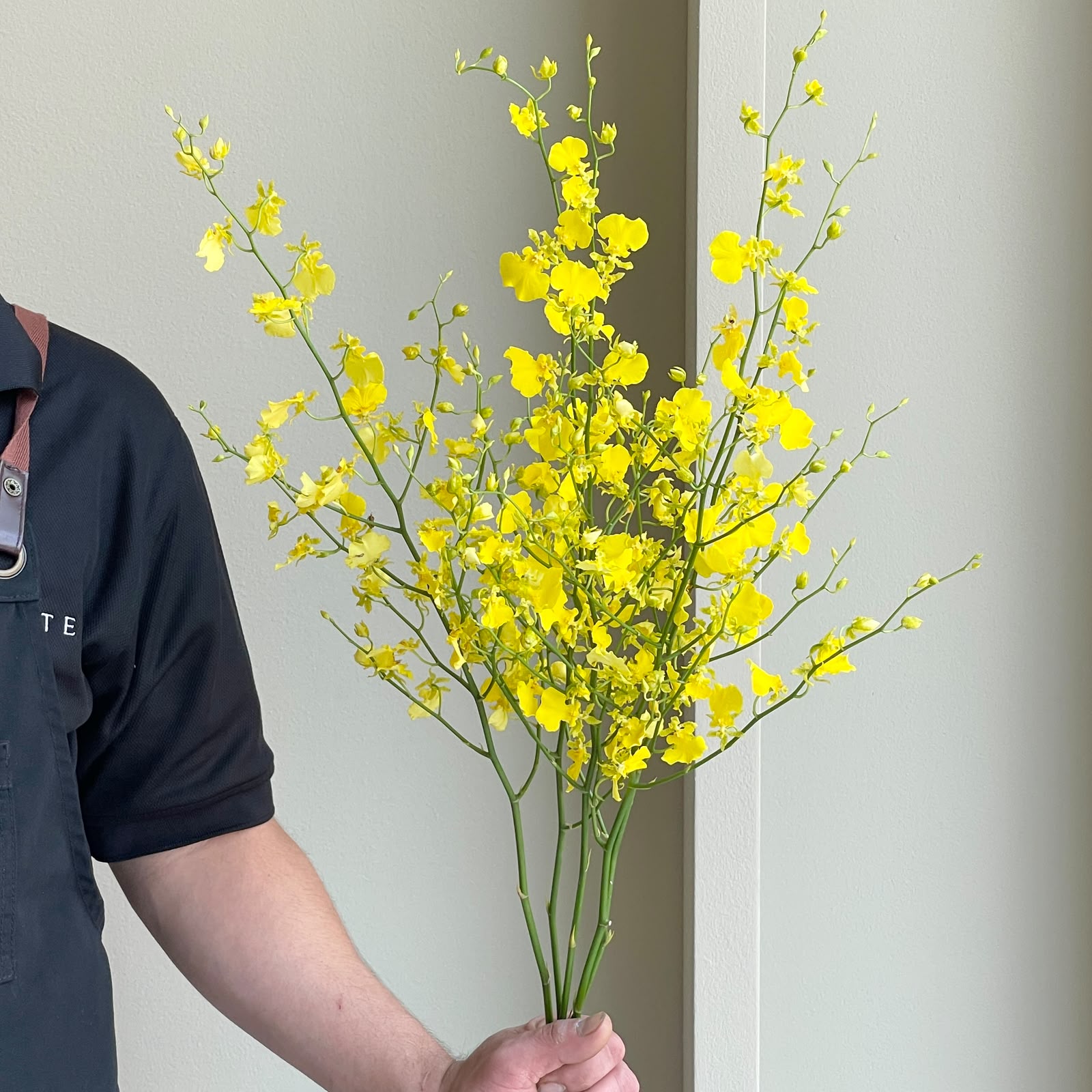 Oncidiums - Honey Angel (5 stems)