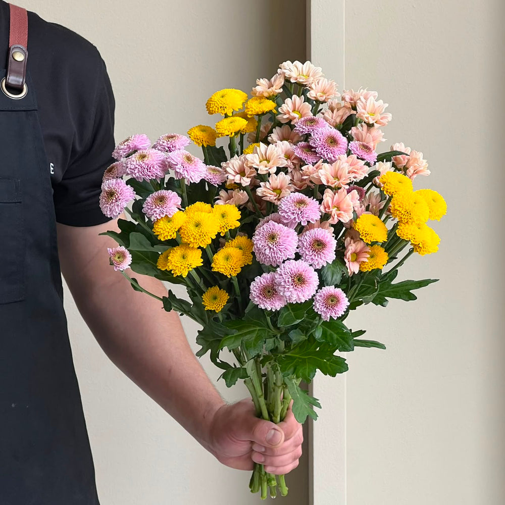 Chrysanthemum - Santini Sunny Delight Mix (10 stems)