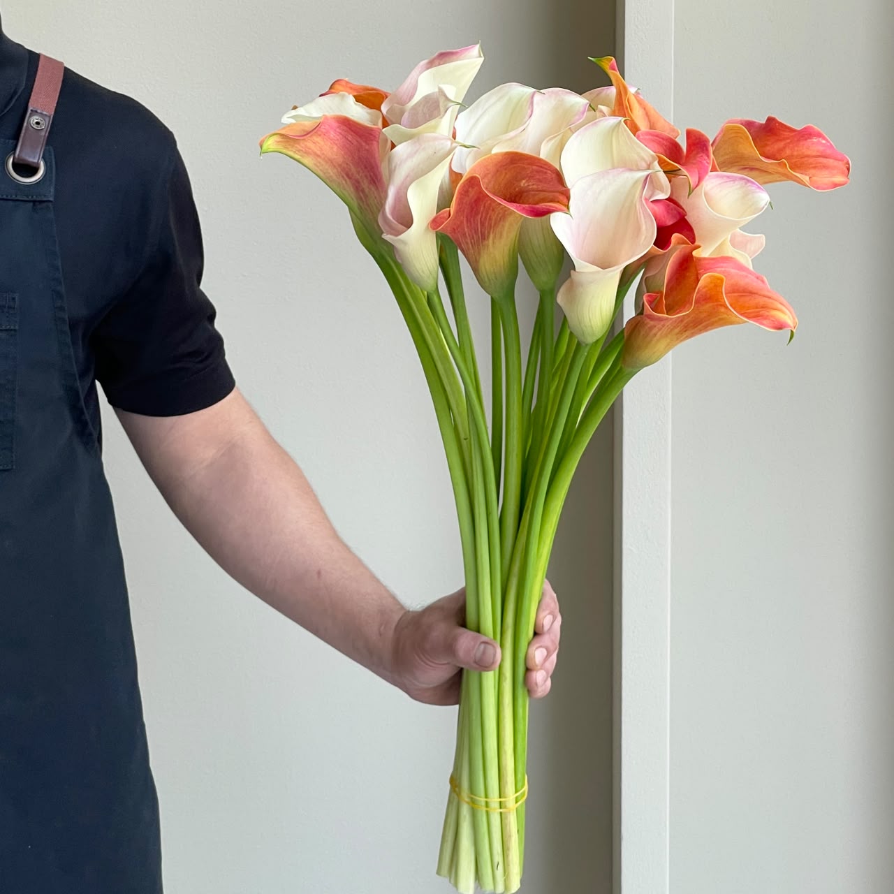 Calla Lilies - Golden Radiance Mix