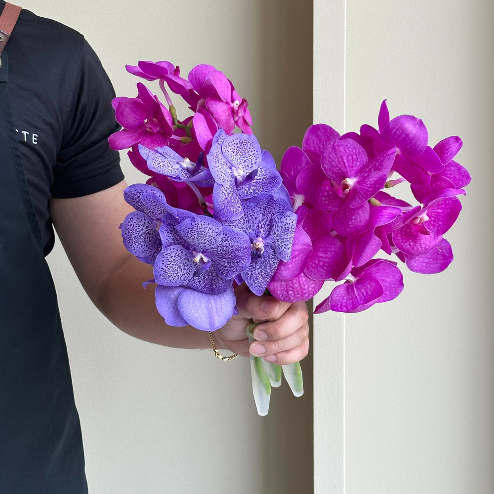 Vanda Orchids - Pink Royale Mix